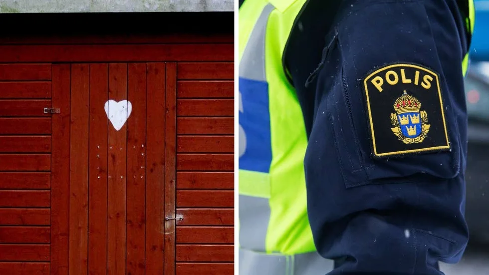 Arkivbild. Dasset på bilden har inget med händelsen att göra.