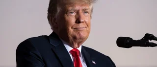 Glapp på nära åtta timmar i Trumps telefonlogg