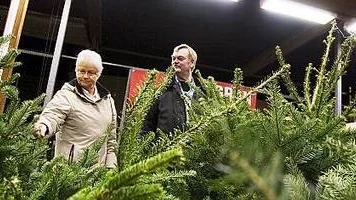 Anita och Ove Carlsson är tidigt ute med julgransköpet.
