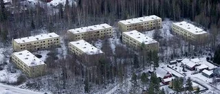 Hästhagen blir klöveräng