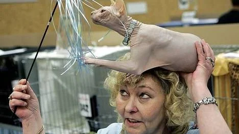 Lena Maria Danielsson med sin katt siden.