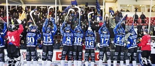 Falls mål sänkte Vetlanda