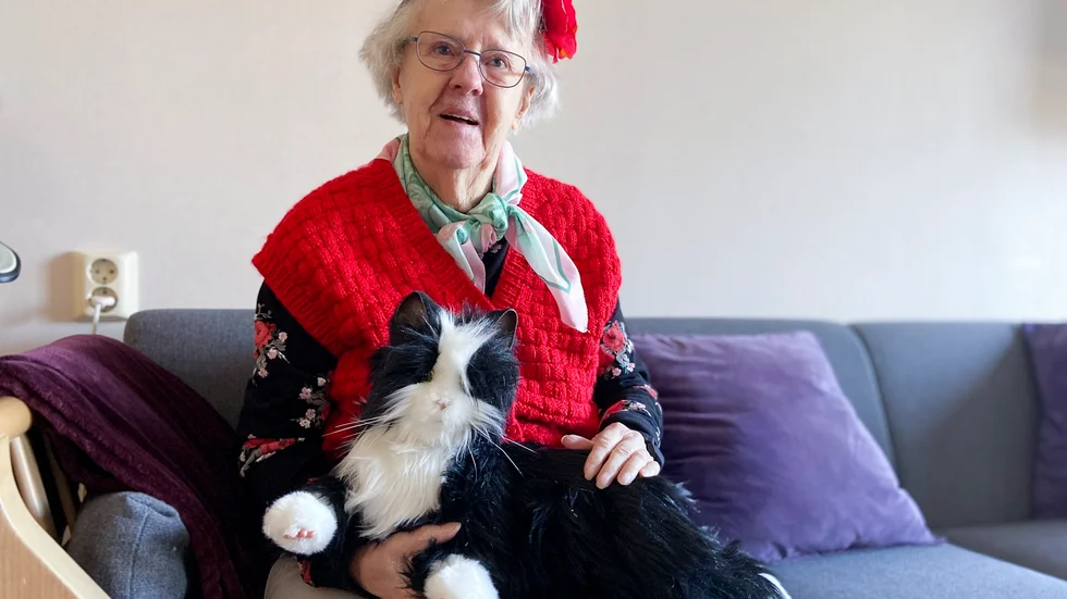 Britt-Inger Söder har haft många katter genom åren. Robotkatten Pelle blir väl ompysslad i hennes knä.