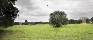 Framtidsträdgård för klimatet