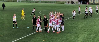 Spelarbetyg Uppsala-Borgeby