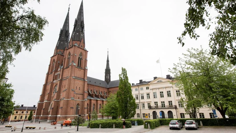 I höst håller Svenska kyrkan ett kyrkomöte i Uppsala med temat "undervisning".