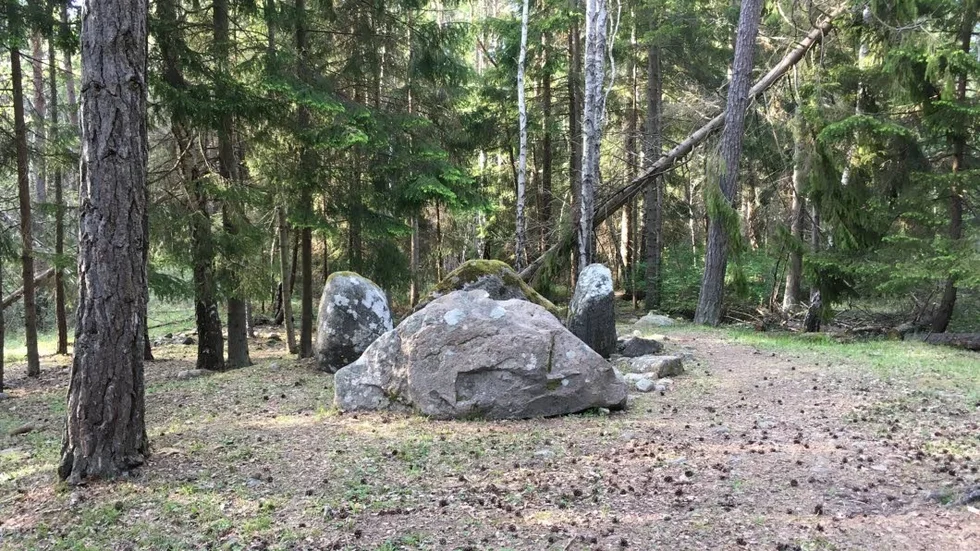 Människorna som anlade gravmonumentet Ansarve döse på Gotland under yngre stenåldern var jordbrukare. Forskare från bland annat Uppsala universitet har nu visat att denna typ av gravar var familjegravar.