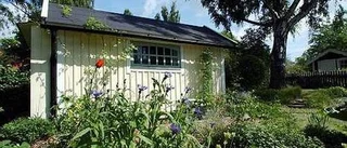 Nu får friggebodarna vara större