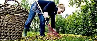 Bra tips för trädgårdsarbetet