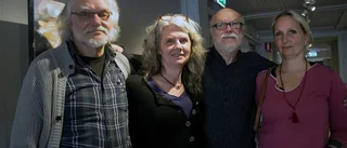 Kulturen vill dra nytta av Lalandia