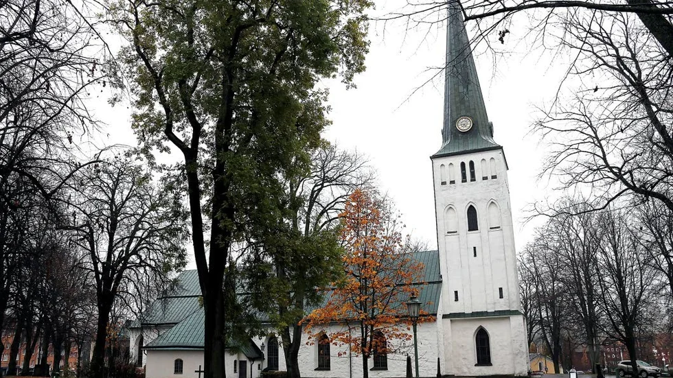 Upptäckt. Ett misstänkt föremål hittades i ett buskage vid Motala kyrka.
