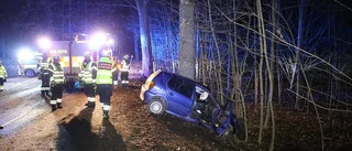 Körde in i träd – två till sjukhus