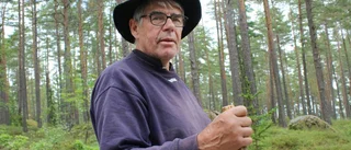 Ingen kulturafton vid kolmilan