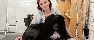Ny hundbutik öppnar i dag
