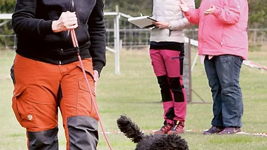 Barbro Andersson från Vimmerby med hunden Lykke en Spansk vattenhund.