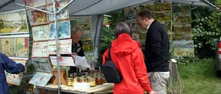 Välbesökt Kråkshultsfest