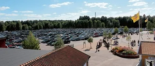 "Köerna på riksvägen är en trafikfara"