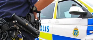 Polis ryckte ut efter misstänkt hundattack i centrala Boden