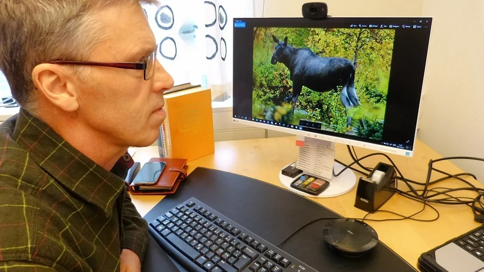 Lars Ingemarson är viltsamordnare på Skogsstyrelsen region syd. Här kollar in älgen som är det klövvilt som gör mest skador på skogen. Varje år kostar klövviltets skador i Götaland uppemot en miljard kronor. Foto: Leif Larsson