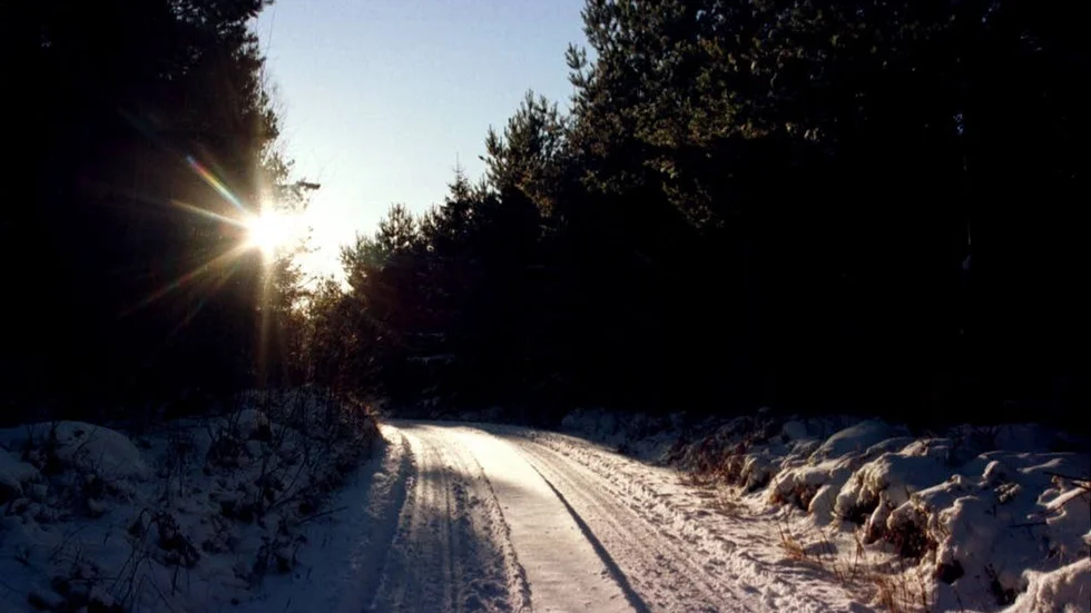 Vintervy i Ödebyskogen.
Planer på bostäder hotar tillgången till Ödebyskogen.