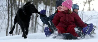 SD vill ha mer snö till Linköping