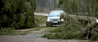 Strömavbrott och fallna träd