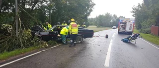 Man allvarligt skadad efter trädkrock