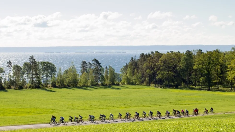 VÄTTERN 2014-06-14 
Cyklister strax innan Hjo. 19446 cyklister startade i årets upplaga av Vätternrundan.  
Foto: Micke Fransson / TT / Kod 61460