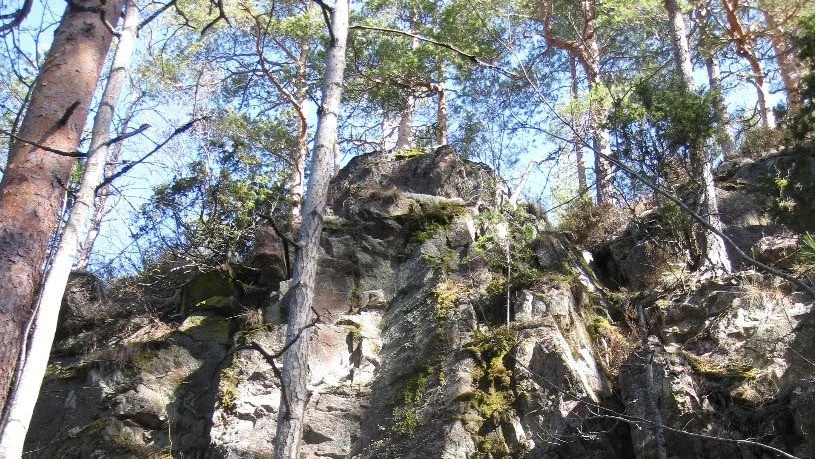 Ravinen i Lillören i Kinda kommun är ett av fyra nya naturreservat i Östergötland.