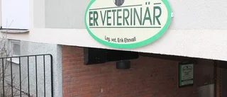 Husdjur felbehandlades – veterinär får varning