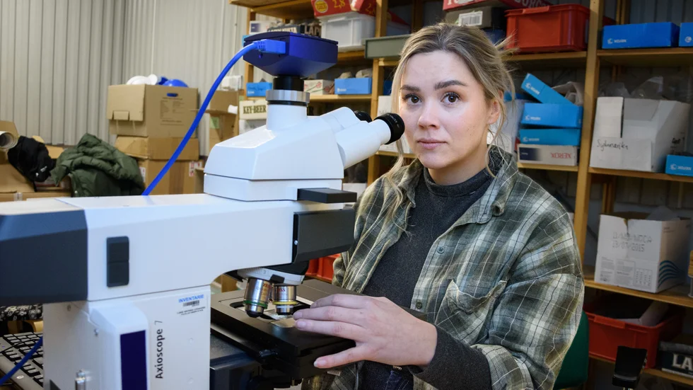 I konkurrens med fem andra tävlande gör Emelie Crafoord upp om vem som gör den bästa presentationen på fyra minuter.