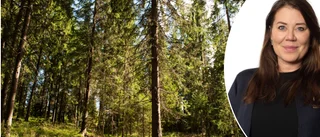 Har vi slutat se skogen för alla träd?