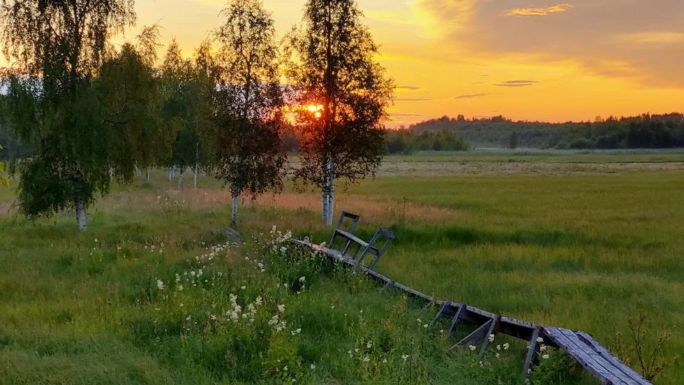 Gyllene kväll. Vi går mot mörkare tider och det är till att börja njuta av de vackra sommarkvällarna. Elaine Blomqvist tog en kvällspromenad i Ersnäs och fotade solnedgången vid Alån.