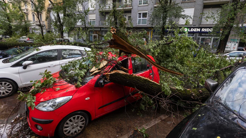 Ett träd som fallit över en bil i Milano på tisdagsmorgonen.