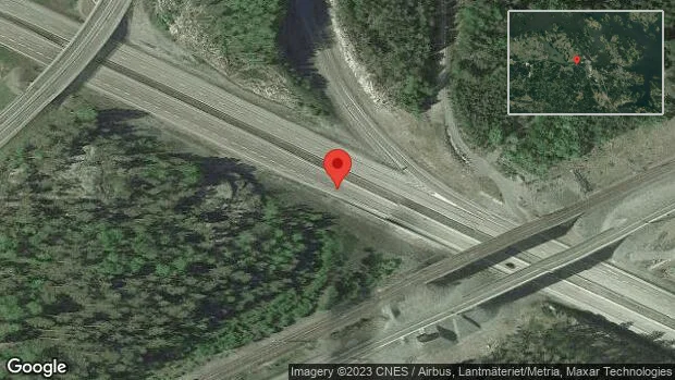 Rådjur på vägen på E20