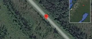 Trasigt fordon stör trafiken på väg 395