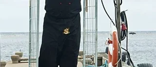 Björn gillar Karlsö