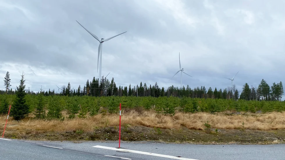 Vindkraftverk utanför utanför Rentjärn. I trakterna kring Malå finns många vindkraftverk och Malå är också en av de 32 kommunerna som är med i Föreningen Sveriges vatten- och vindkraftskommuner och regioner, FSV.
