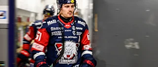 LHC-centern om svackan och nya smällen: "Nu får det vara nog"