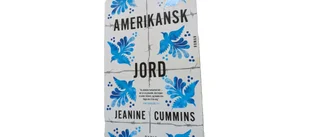 Boktips: Amerikansk jord      