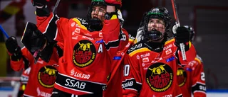 Luleåstjärnorna lockas av att spela i nya proffsligan