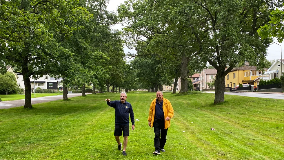 I vanlig ordning kommer Husbyfjöls marknad att hållas här, längs ekallén vid Skolgatan i Borensberg. Roney Petersson och Per-Olof Niemi är två av arrangörerna. Det brukar bli mycket att göra veckan innan det är dags.  