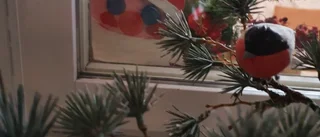 Läsarbilden: Tomten kikar in  