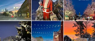 Norrbottens bästa julpynt på stan – var finns det? Rösta!