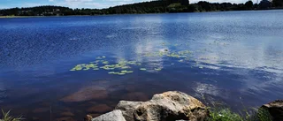 Läsarbilden: Vackert vid Norrstrand