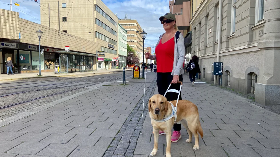 Jessica Wåhlin ger ofta kommandot "Sök stolpe", eller "Sök kant" för att inte gå in i något eller ramla när hon rör sig på gatorna. Det är därför viktigt att Facit kan fokusera på sin uppgift.
