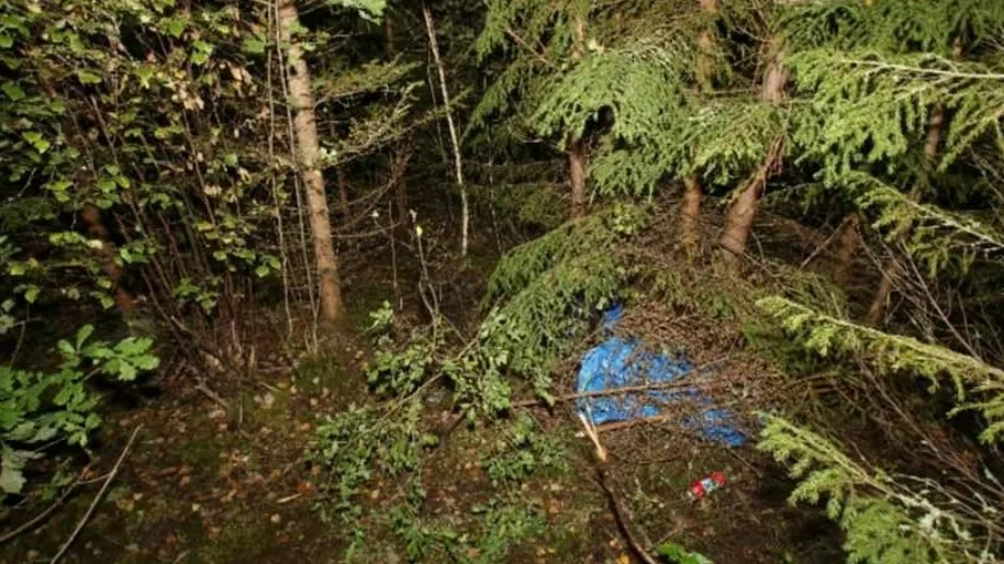 Narkotikan hittades i skogen av två svampplockare som ringde polisen så fort de förstod vad det rörde sig om.