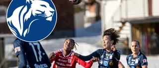 Kritik mot PIF:s seriekonkurrent – anklagas för plagiat