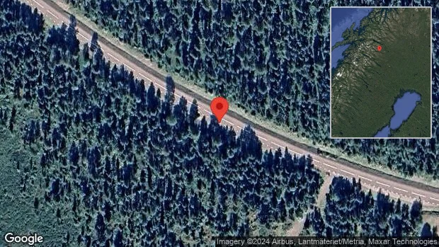 Viltolycka på väg 870