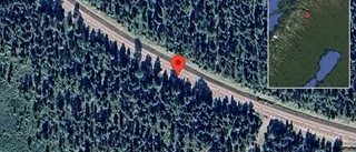 Viltolycka på väg 870 - stopp i ett körfält